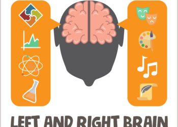 Smegenų įdomybės, apie kurias (galbūt) nežinojote