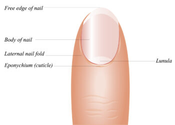 Kodėl ant mano pirštų auga plaukai?