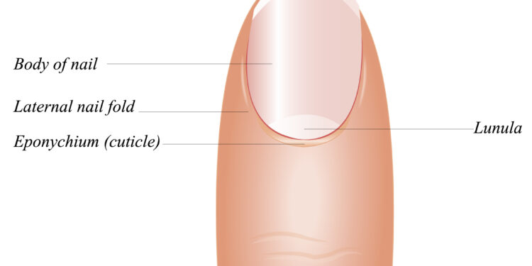 Kodėl ant mano pirštų auga plaukai?