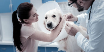 Ar galiu užsikrėsti konjunktyvitu nuo savo šuns?