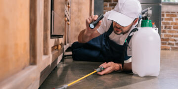 Vabzdžių įkandimai vienoje linijoje