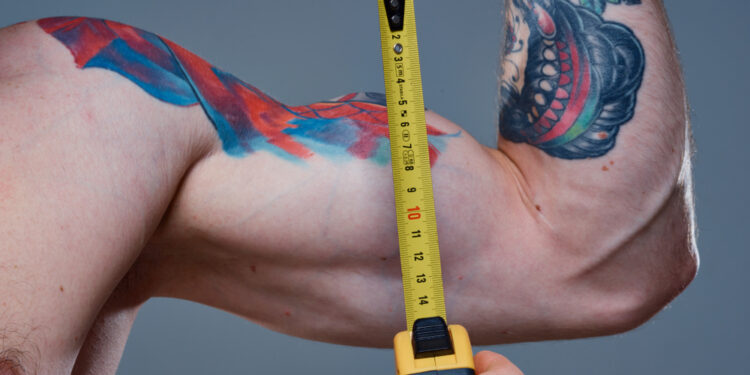 Kokia yra vidutinė bicepso apimtis pagal amžių, lytį ir ūgį?