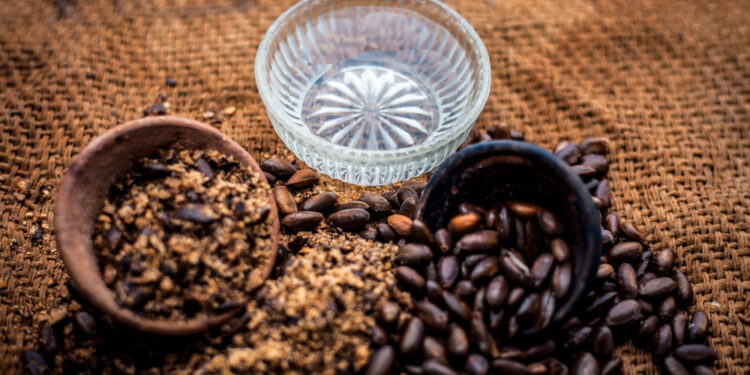 Kokosų aliejus nuo utėlių