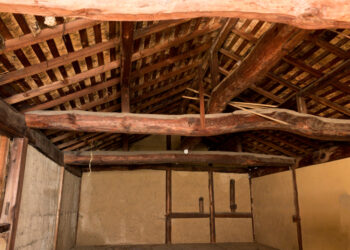 Kaip atpažinti ir gydyti nosies stafilokokinę infekciją