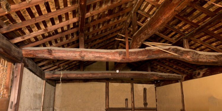 Kaip atpažinti ir gydyti nosies stafilokokinę infekciją