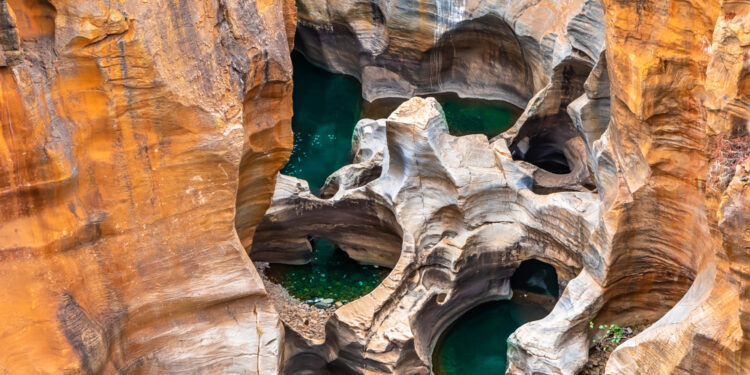 Duobučių formavimas: ką svarbu žinoti