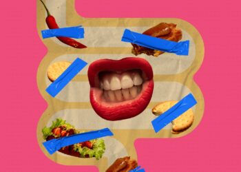 Cheminio virškinimo supratimas