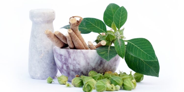 Ar rodiolė (Rhodiola rosea) ir ašvaganda gerai veikia kartu?