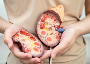 Glomerulų filtracijos greičio tyrimas