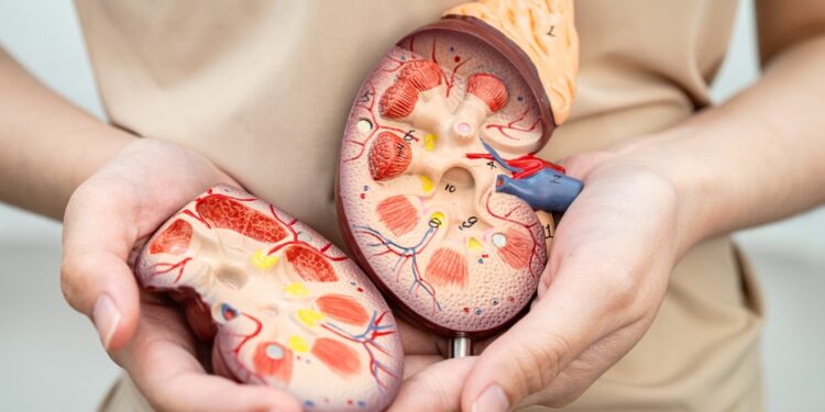 Glomerulų filtracijos greičio tyrimas