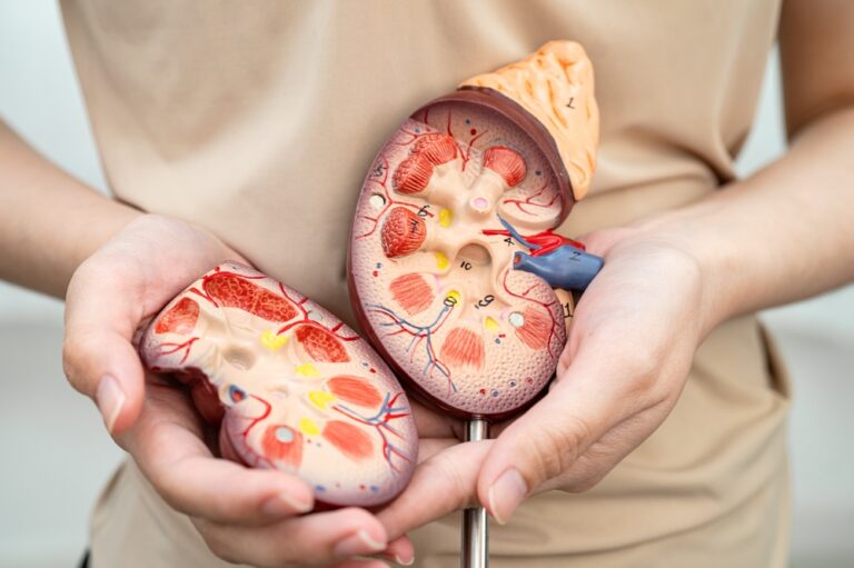 Glomerulų filtracijos greičio tyrimas