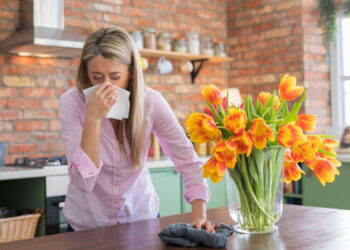 Žiedadulkių katalogas: alergijas sukeliantys augalai