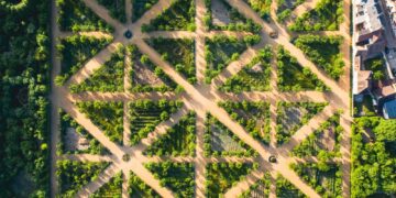 Mozaikinė Dauno sindromo forma