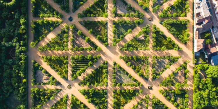 Mozaikinė Dauno sindromo forma