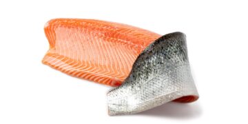 Kas yra žuvies odos transplantatas?