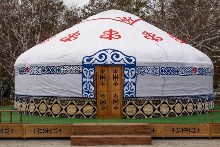 Kas yra mongoliškos mėlynosios dėmės?